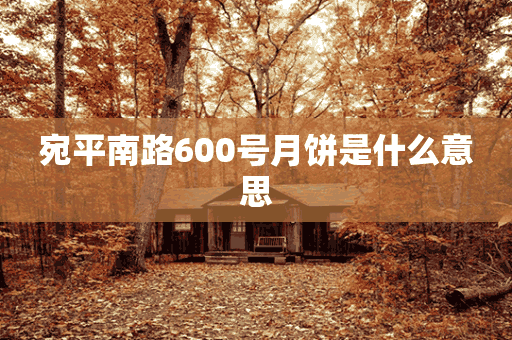 宛平南路600号月饼是什么意思(宛平南路600 月饼)